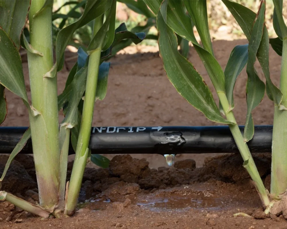 Drip irrigation Systems